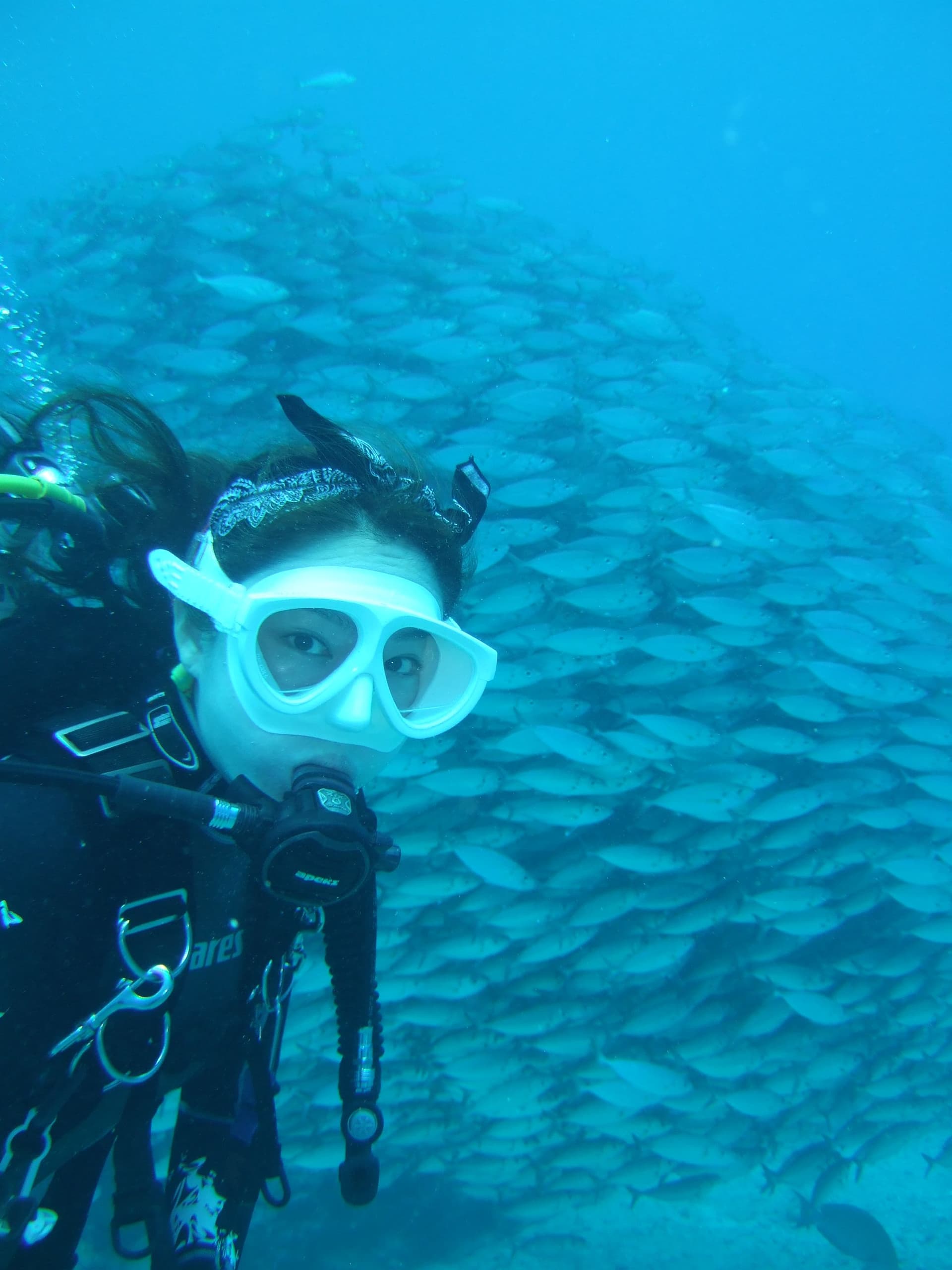 Diving in Bodrum 2026: Sites, Schools and Prices